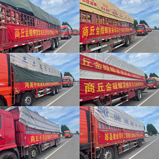 CC网投·(中国游)官方网站